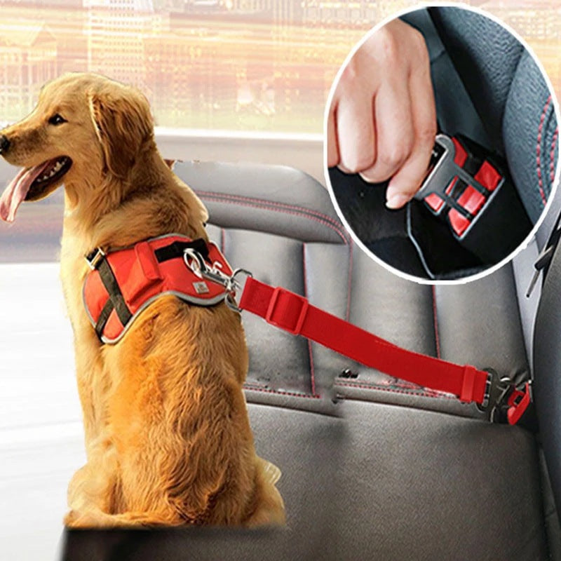 Pet Car Seat Belt | Everyday Home Deal