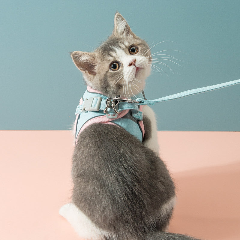 Cat Strap | Everyday Home Deal
