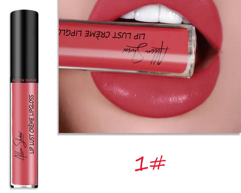 Silky Cream Texture Lip Gloss Aliexpress Shopee Cross-Border Exclusive Lip Glaze Lip Gloss Lipstick | Everyday Home Deal