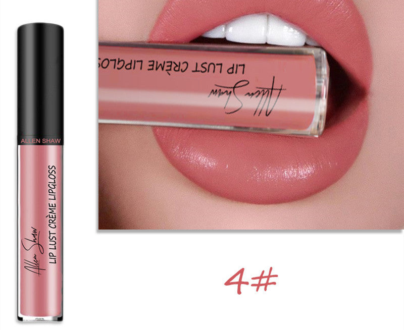 Silky Cream Texture Lip Gloss Aliexpress Shopee Cross-Border Exclusive Lip Glaze Lip Gloss Lipstick | Everyday Home Deal