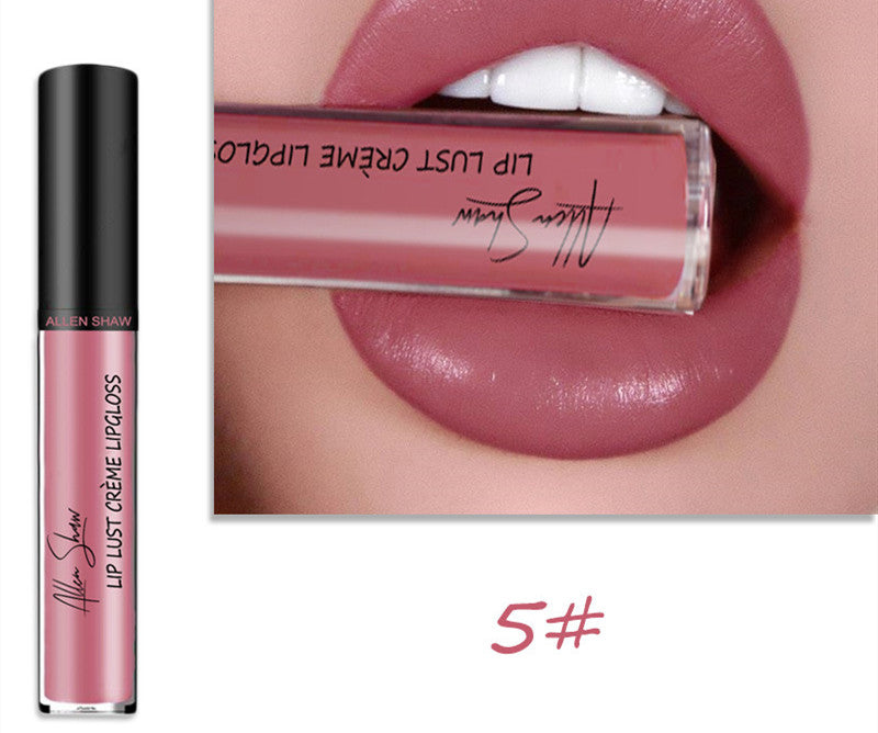 Silky Cream Texture Lip Gloss Aliexpress Shopee Cross-Border Exclusive Lip Glaze Lip Gloss Lipstick | Everyday Home Deal