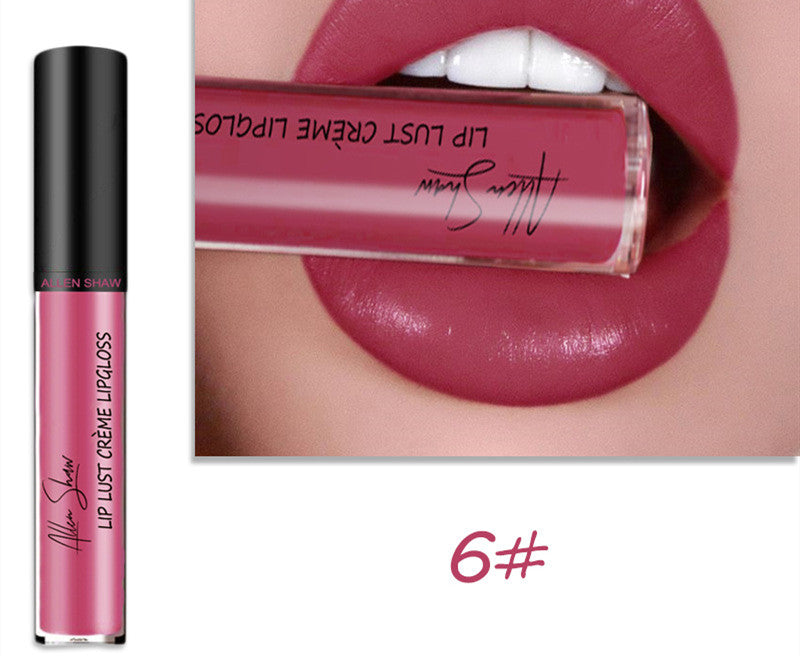 Silky Cream Texture Lip Gloss Aliexpress Shopee Cross-Border Exclusive Lip Glaze Lip Gloss Lipstick | Everyday Home Deal