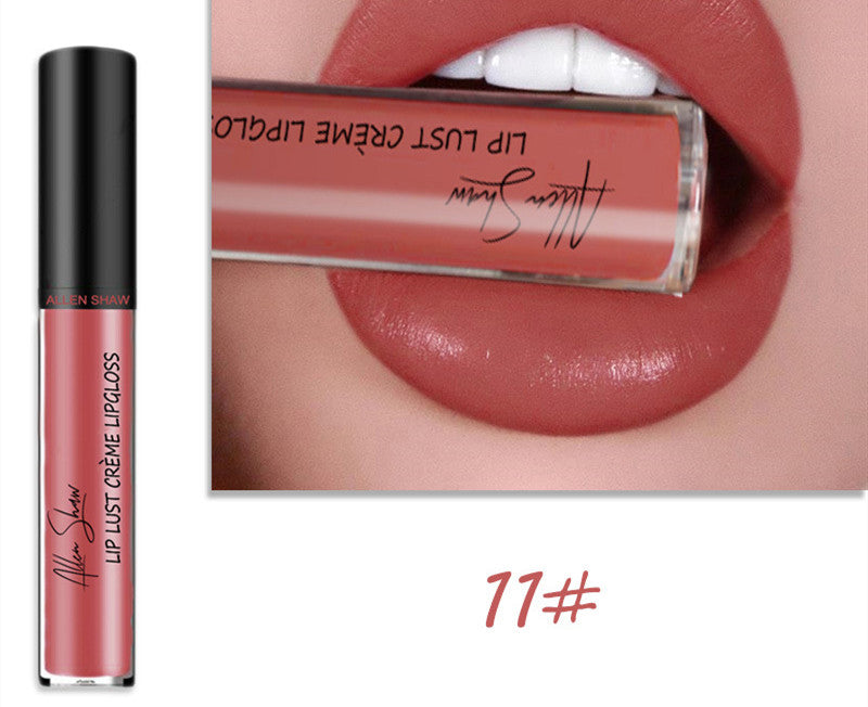 Silky Cream Texture Lip Gloss Aliexpress Shopee Cross-Border Exclusive Lip Glaze Lip Gloss Lipstick | Everyday Home Deal