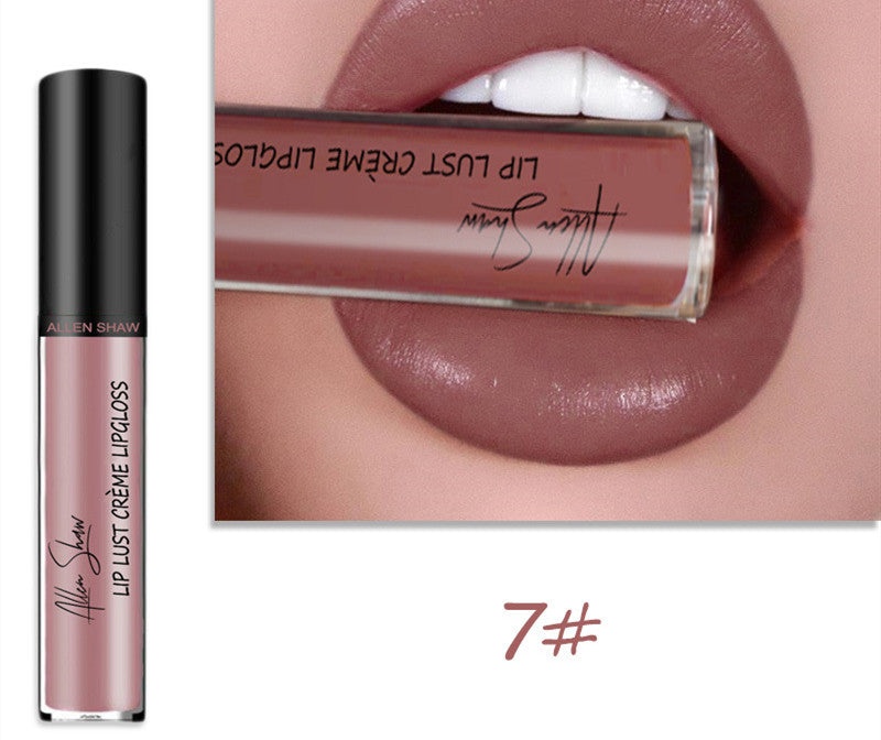 Silky Cream Texture Lip Gloss Aliexpress Shopee Cross-Border Exclusive Lip Glaze Lip Gloss Lipstick | Everyday Home Deal