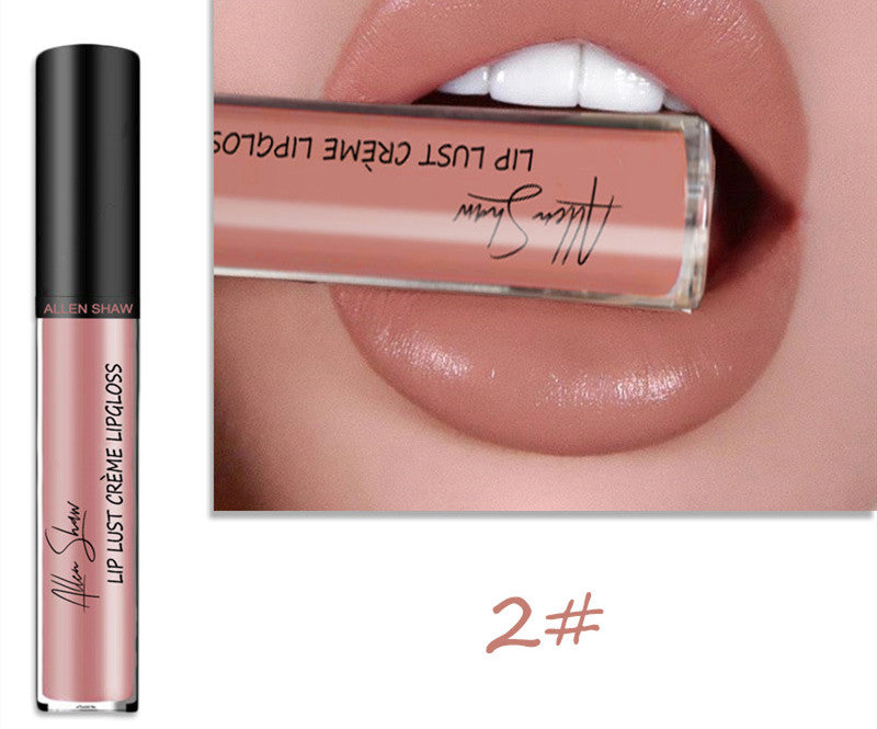 Silky Cream Texture Lip Gloss Aliexpress Shopee Cross-Border Exclusive Lip Glaze Lip Gloss Lipstick | Everyday Home Deal