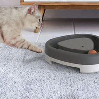 Smart Cat Toy - Premium Best Toy Deal | Everyday Home Deal