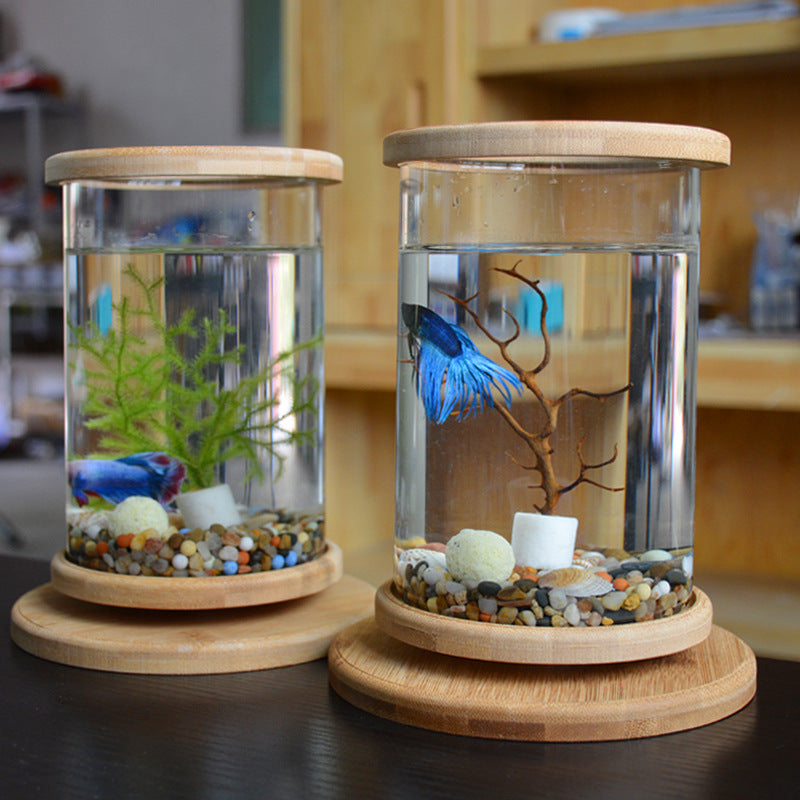 Mini Fish Tank - Best Home Deal | Everyday Home Deal