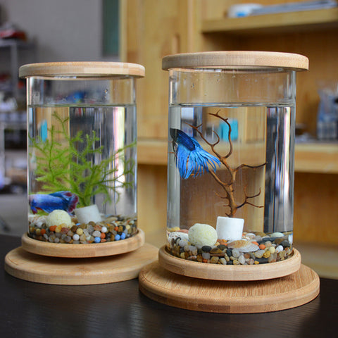 Mini Fish Tank - Best Home Deal | Everyday Home Deal