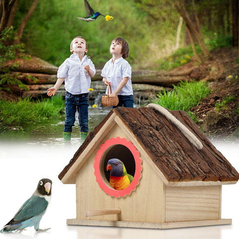 Bird House - Best Home Deal | Everyday Home Deal