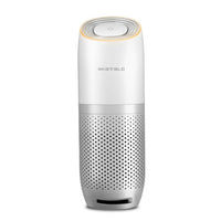 Car air purifier