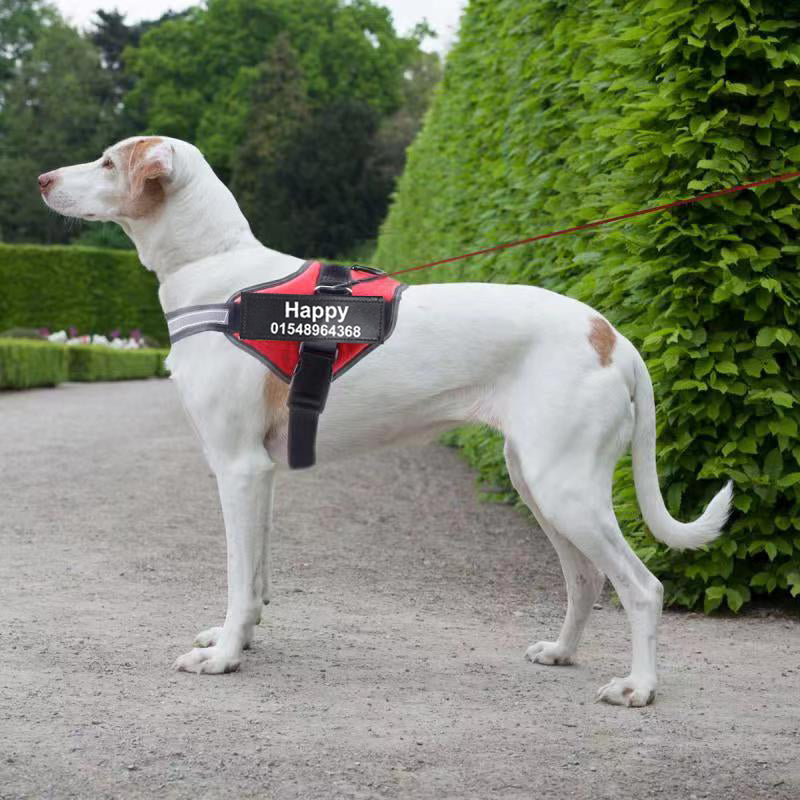 Dog Harness | Everyday Home Deal