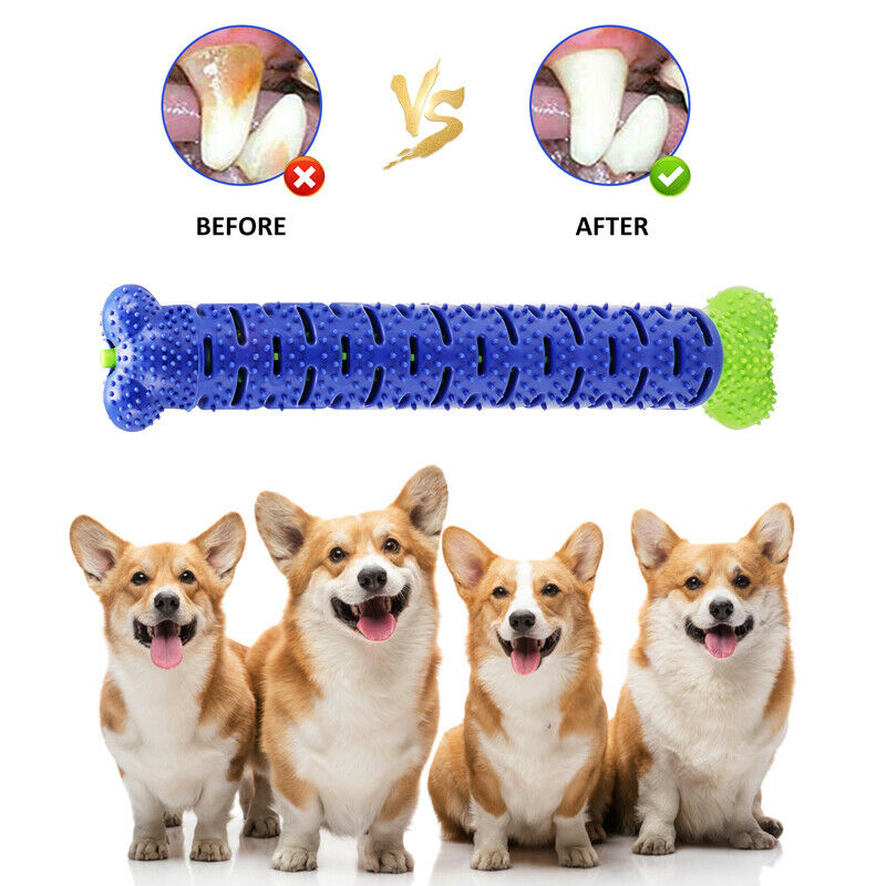 Dog Toothbrush | Everyday Home Deal
