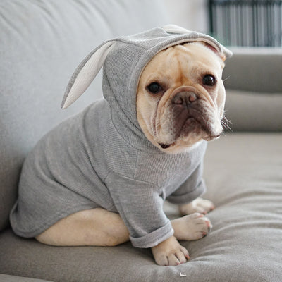 Dog Pet Clothes - Best Premium Deal | Everyday Home Deal