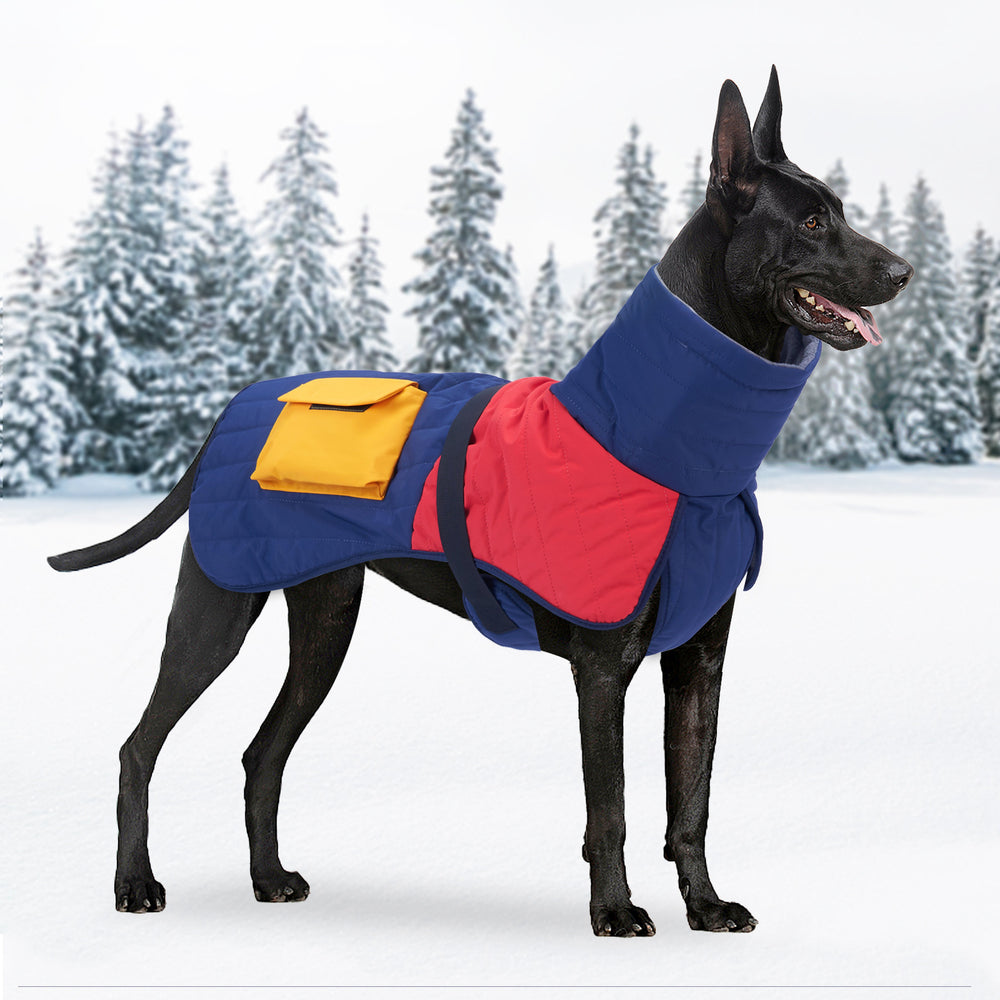 Winter Dog Coat | Everyday Home Deal