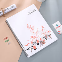 Picture Storage Book