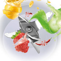Portable Mini Juicer | Personal Smoothie Blender for Travel & Home | Everyday Home Deal