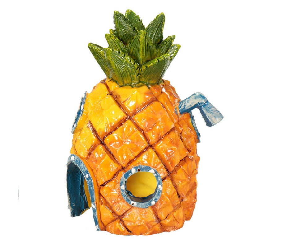 Pineapple House | Everyday Home Deal