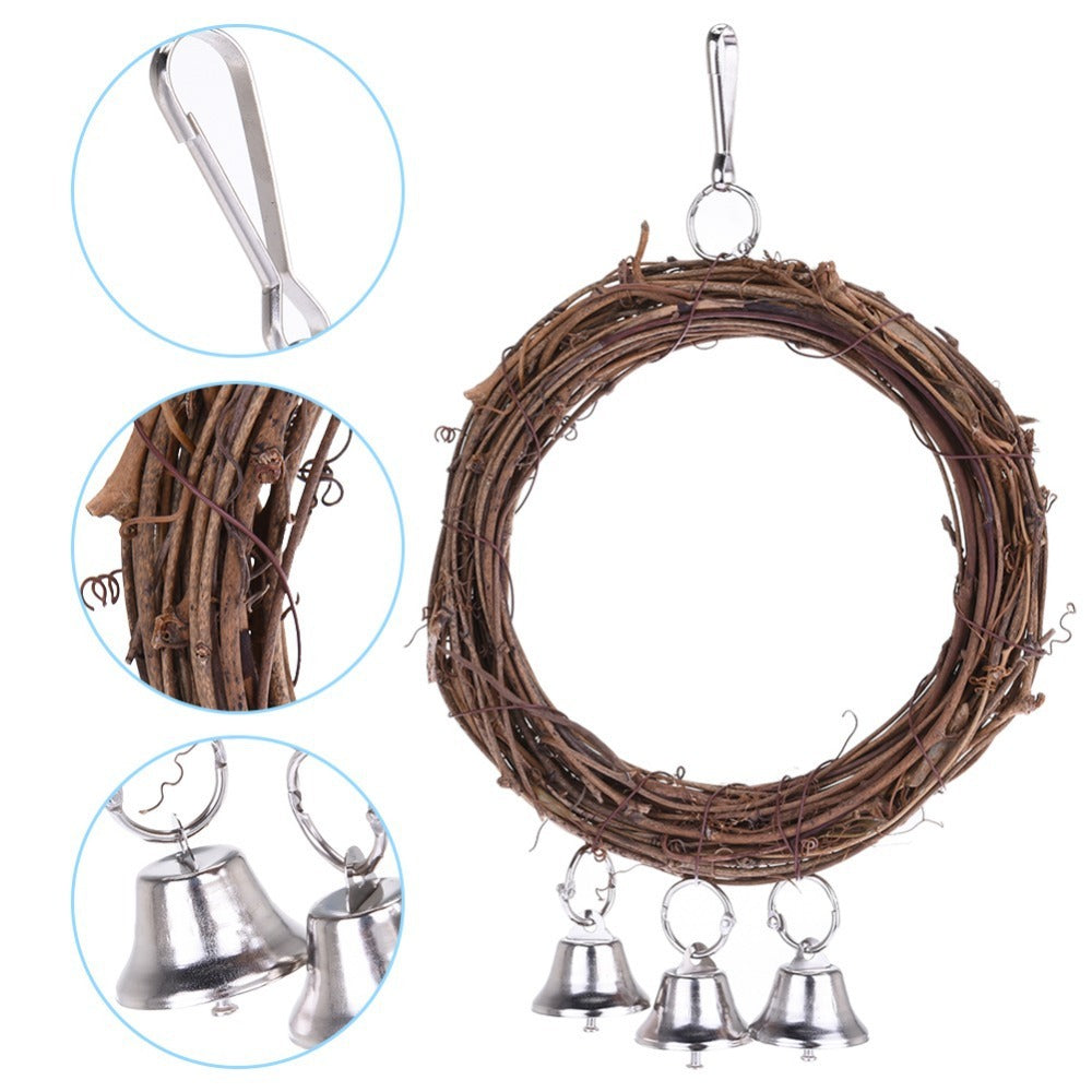 Parrot swing | Everyday Home Deal
