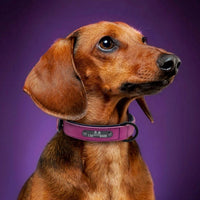 Dog Tag Identity Card Customization