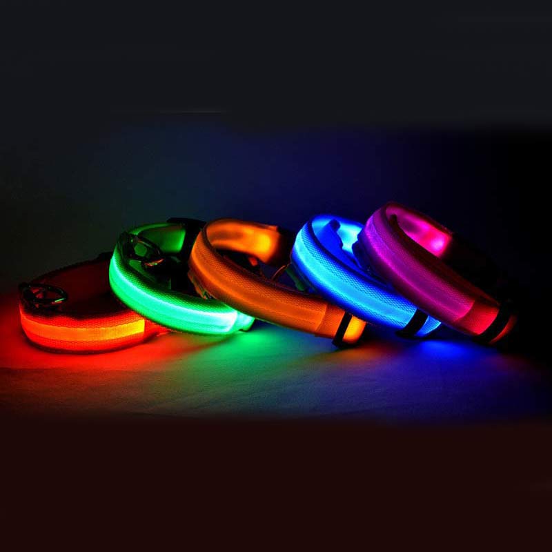 LED Dog Collar | Everyday Home Deal