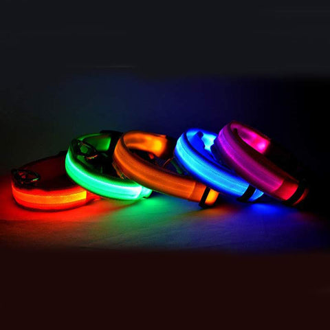 LED Dog Collar - Best Premium Pet Deal | Everyday Home Deal