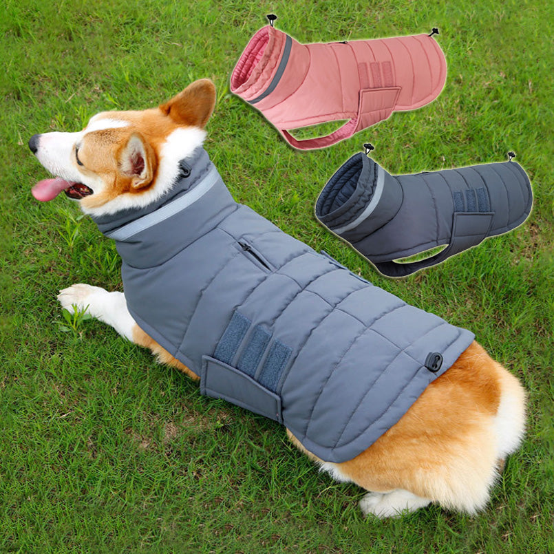 Winter Dog Coat | Everyday Home Deal