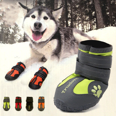 Big Dog Shoes | Everyday Home Deal