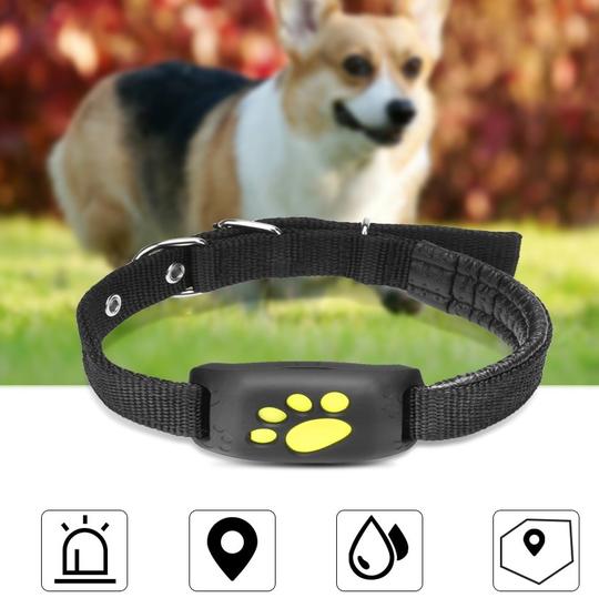 GPS Pet Tracker - Premium Best Deal | Everyday Home Deal