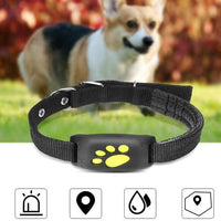 GPS Pet Tracker - Premium Best Deal | Everyday Home Deal