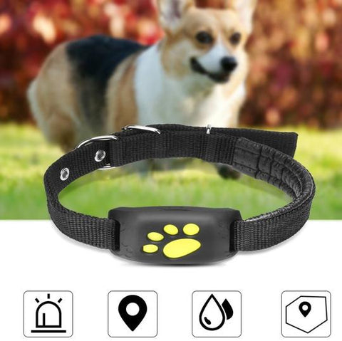 GPS Pet Tracker - Premium Best Deal | Everyday Home Deal