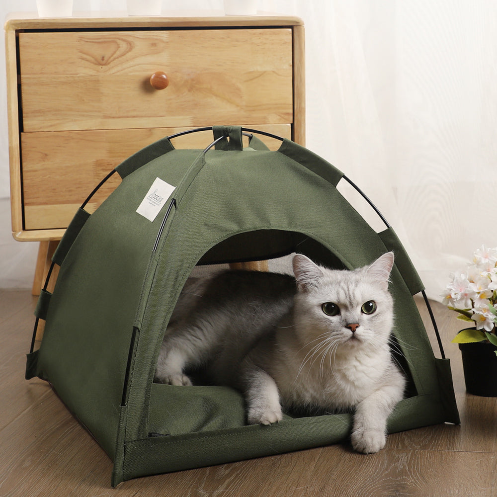 Cat Tent | Everyday Home Deal