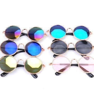 Pet Glasses | Everyday Home Deal