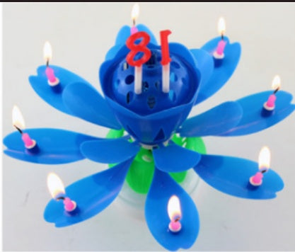 Amazing Lotus Candles - Best Home Deal | Everyday Home Deal