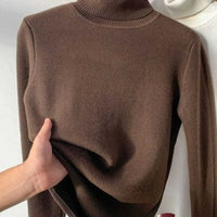 Fleece Turtle Neck Sweater Winter Warm Elegant Thick Knitted Pullover Tops Women's Clothing