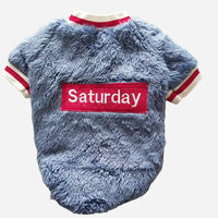 Pet sweater