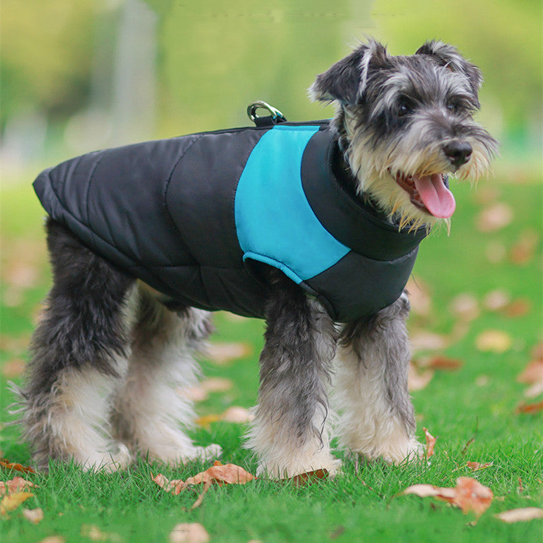 Dog Pullover | Everyday Home Deal