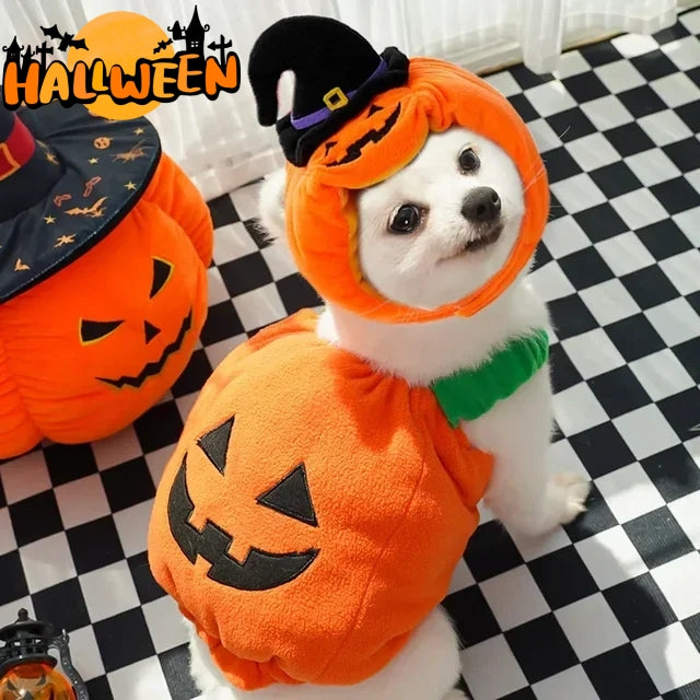 Halloween Pumpkin Vest | Everyday Home Deal