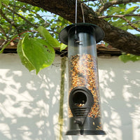 Bird Feeder - Best Bird Care Deal | Everyday Home Deal