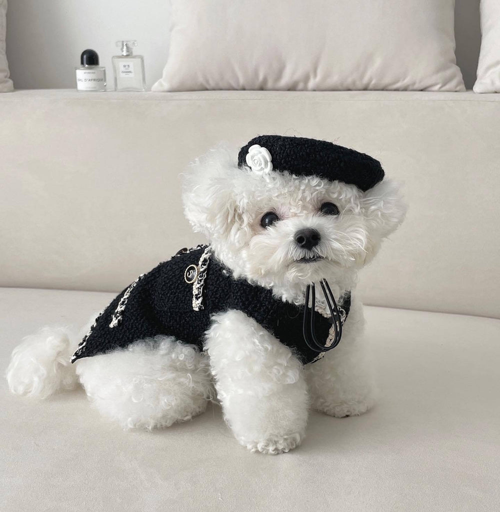 Pet Knitted Hat | Everyday Home Deal