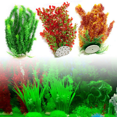 Aquarium Plant - Best Premium Deal | Everyday Home Deal