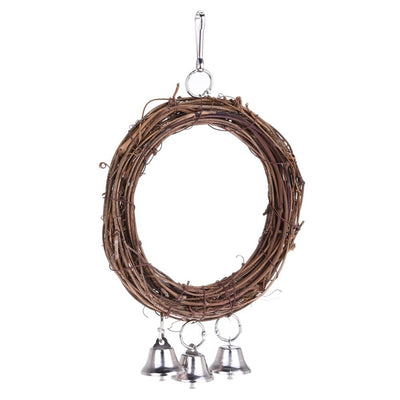 Parrot swing | Everyday Home Deal