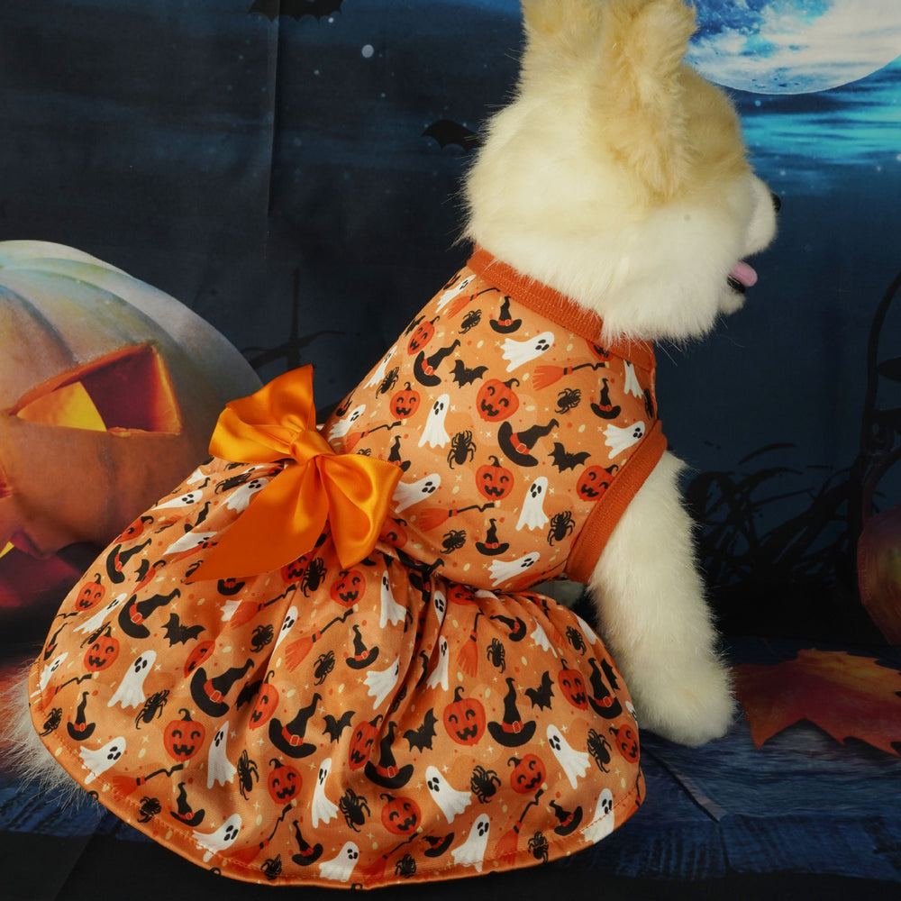 Halloween Dress - Premium Best Pet Deal | Everyday Home Deal