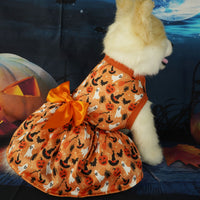Halloween Dress - Premium Best Pet Deal | Everyday Home Deal