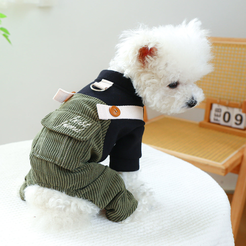 Pet Ring Corduroy | Everyday Home Deal