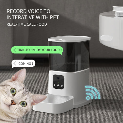 Automatic Feeder - Best Premium Pet Deal | Everyday Home Deal