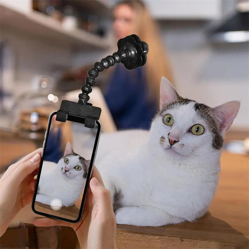 Pet Photography Tool Cat Dog And Dog Viewing Lens Teddy Camera Toy Mobile Phone Camera Holder Selfie Clip Supplies Pet Products | Everyday Home Deal