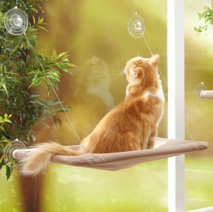 Best Cat Hammock | Everyday Home Deal