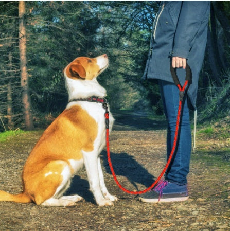 Reflective Dog Leash - Pro Pet Deal | Everyday Home Deal