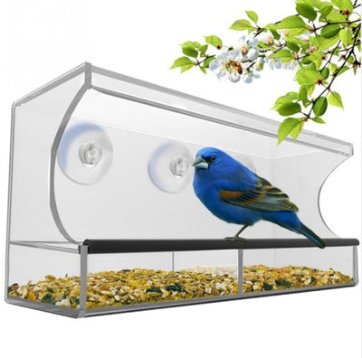 Acrylic Feeder - Best Pet Deal | Everyday Home Deal