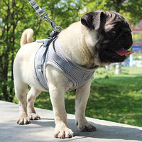 Reflective And Breathable Pet Harness